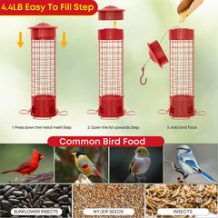 DSUMD 360-degree ring perch detail with multiple birds feeding comfortably, encourages group feeding