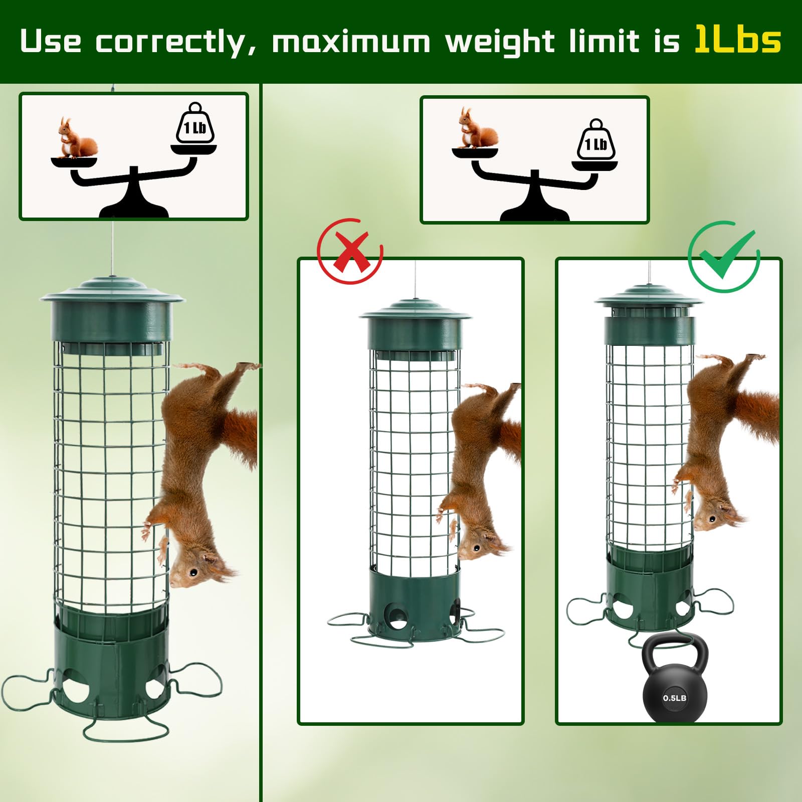 DSUMD full 360-degree ring perch showing space for multiple birds to rest