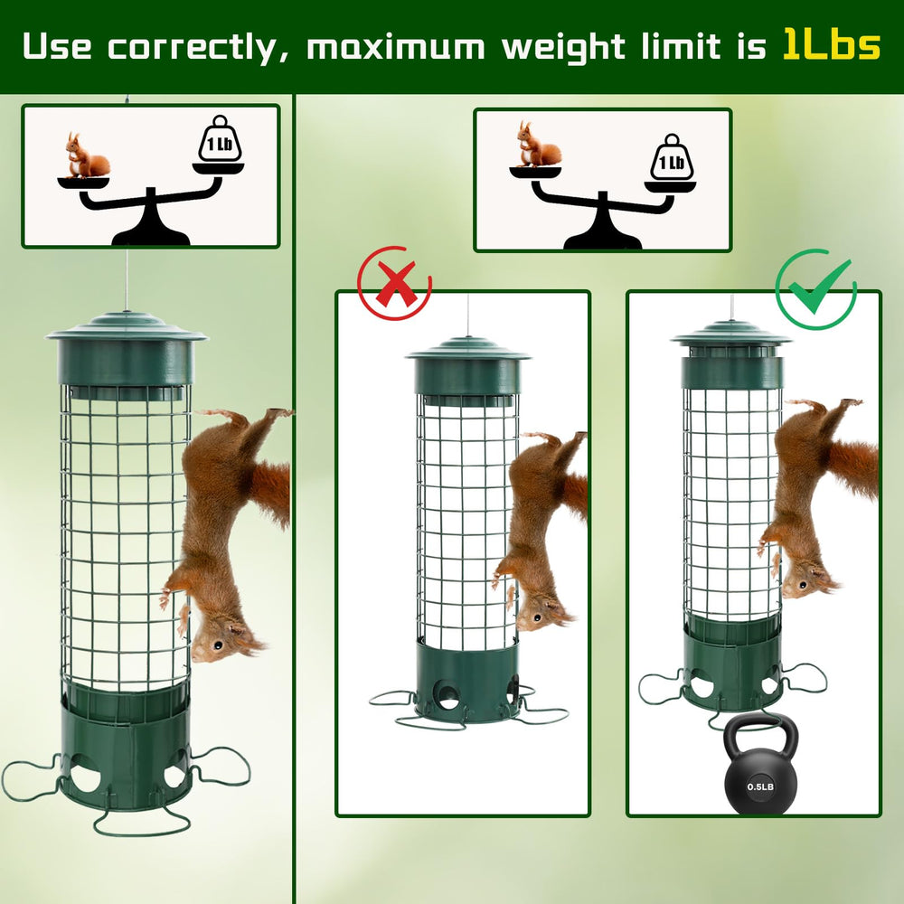 DSUMD full 360-degree ring perch showing space for multiple birds to rest