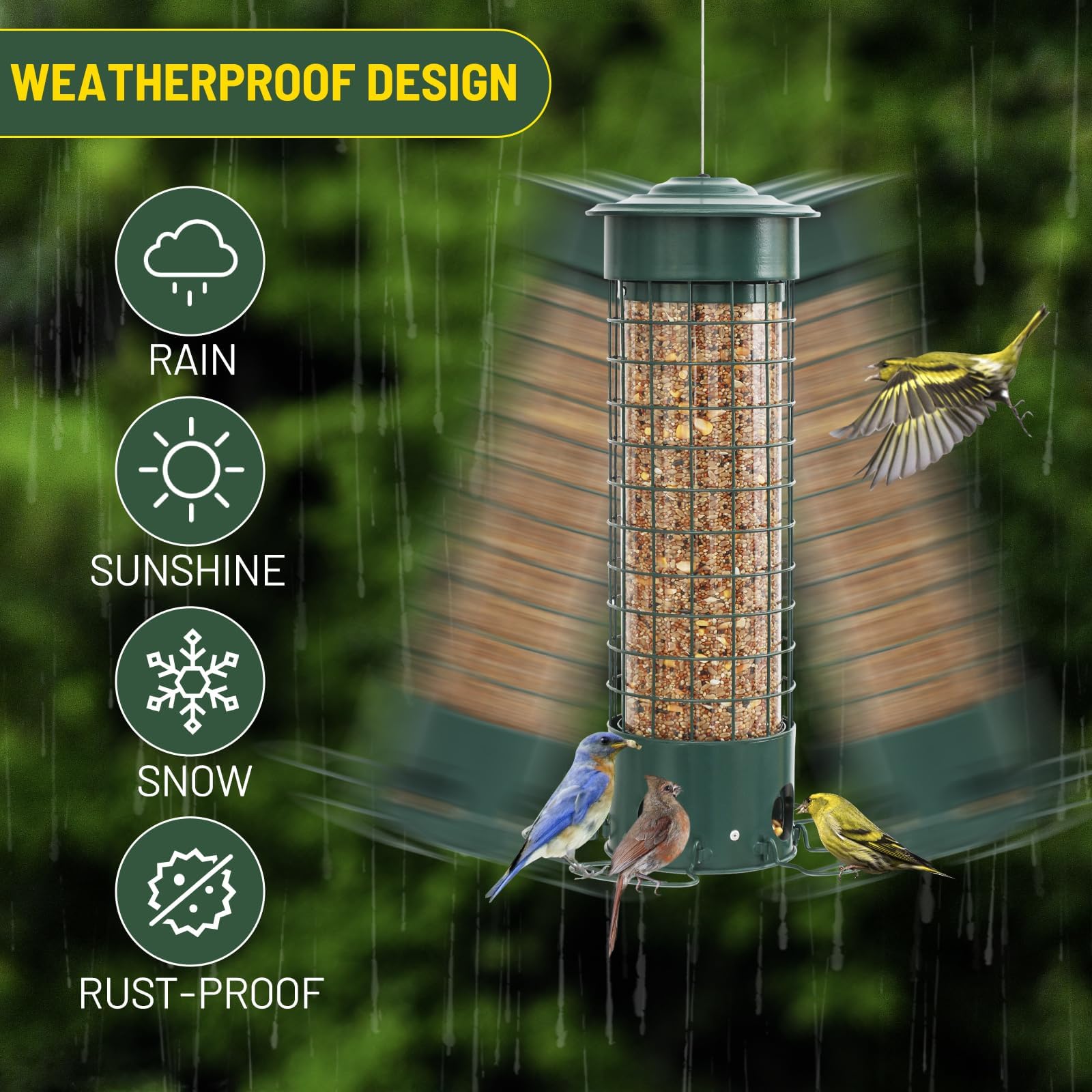 DSUMD feeder under eave showing rain protection to keep seeds dry