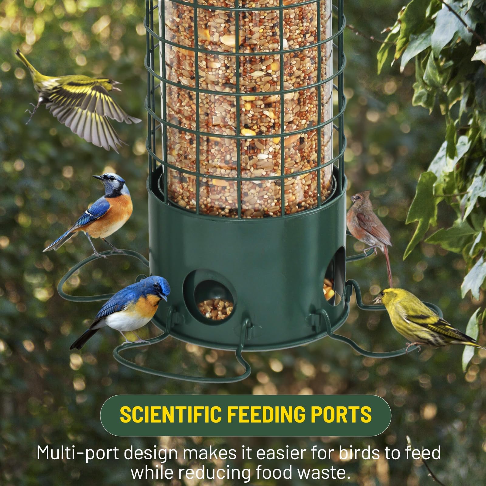 DSUMD feeder held in hand showing scale and large 4.4 lb capacity benefit
