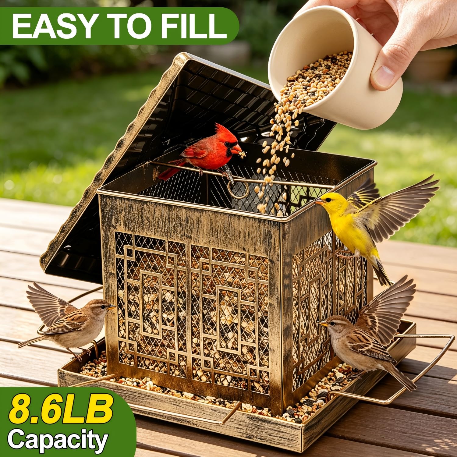 DTEPFUEN seed tray with four perches showing comfortable feeding access