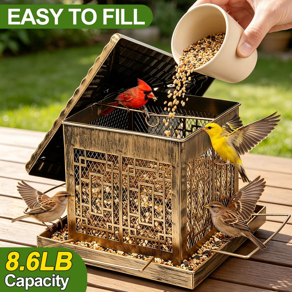 DTEPFUEN seed tray with four perches showing comfortable feeding access