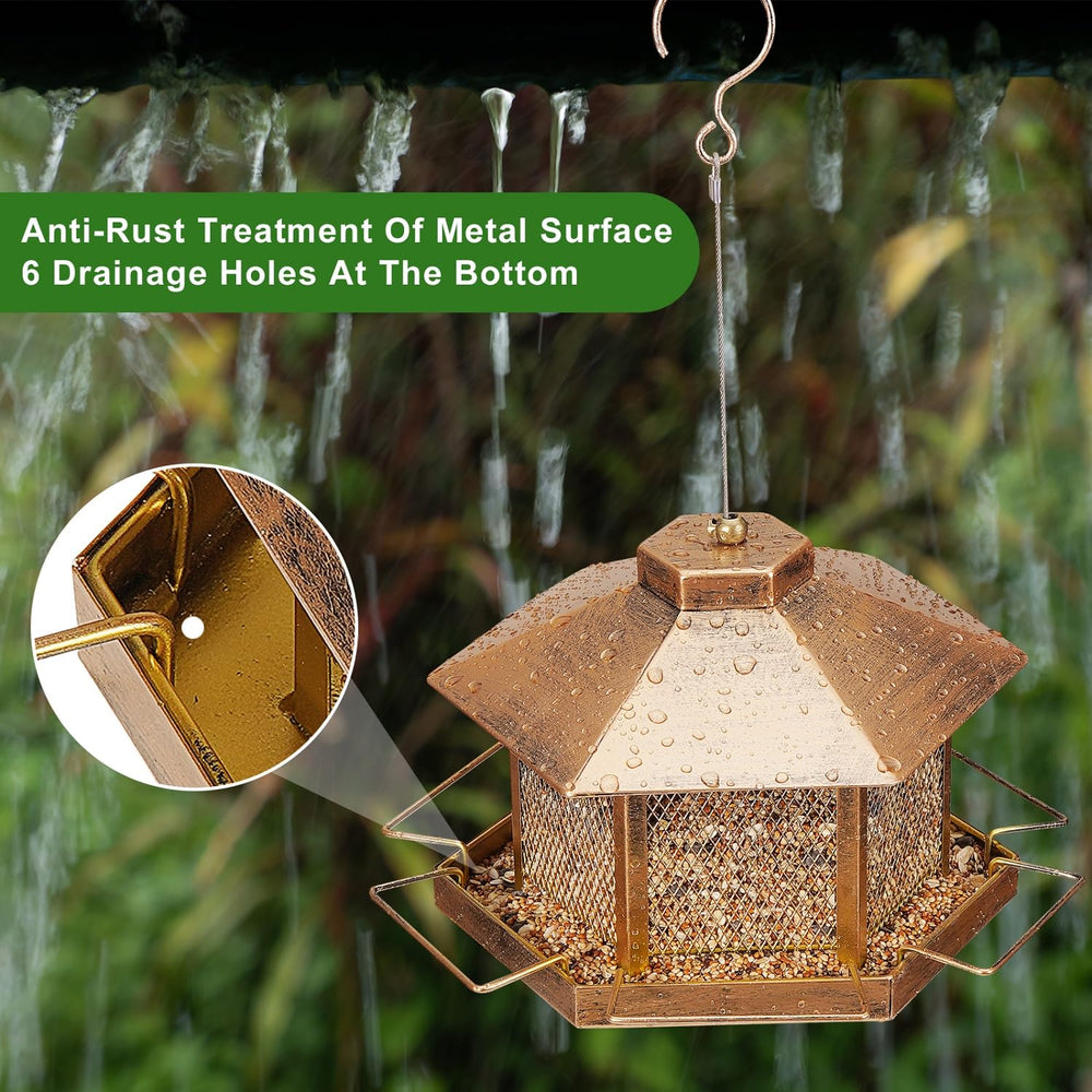 DTEPFUEN with wild birds feeding showcasing attraction of species
