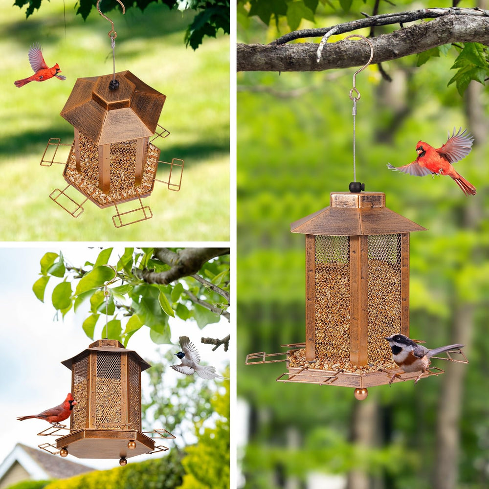 DTEPFUEN perches and port detail demonstrating sturdy metal build and chew resistance