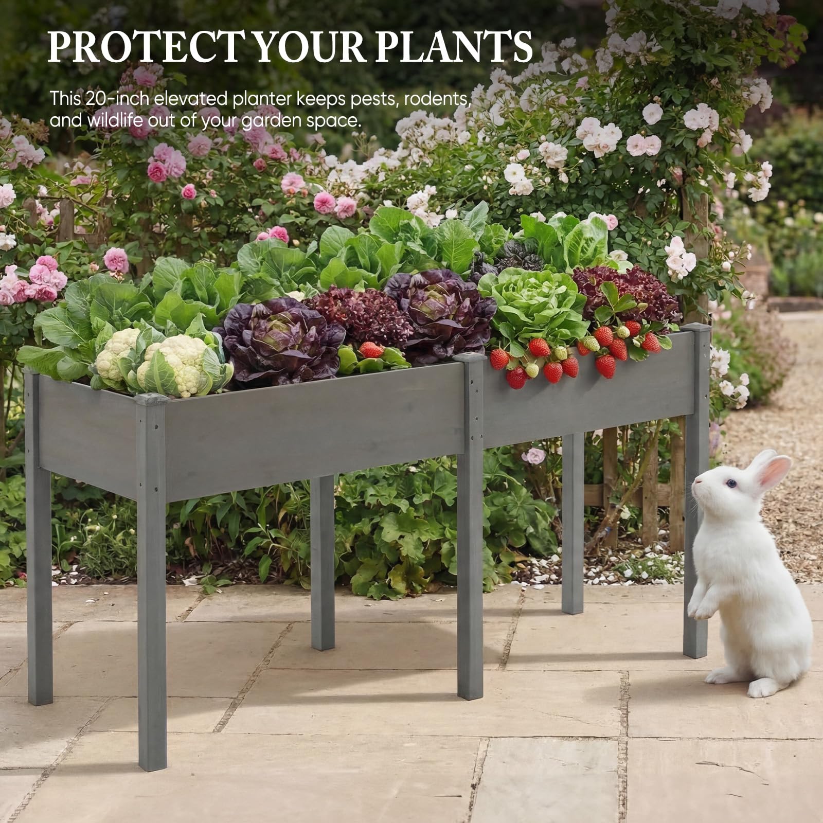DUMOS planter in use with vegetables and herbs demonstrating productive layout