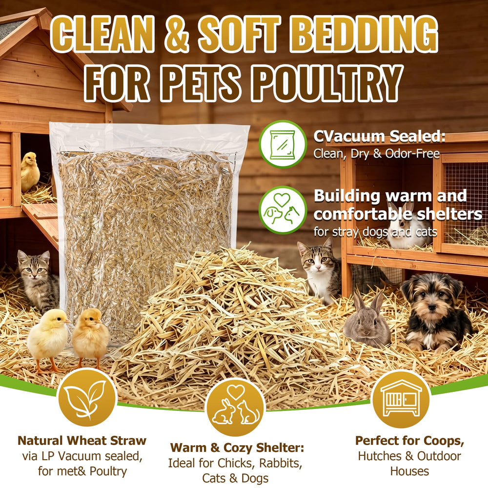 dunkive chicken coop bedding demonstrating cozy warmth and low-dust comfort benefit