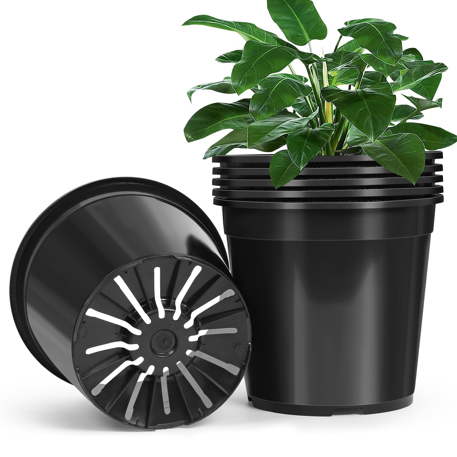 DUNPUTE front view of six 3-gallon nursery pots showing size and uniformity benefits