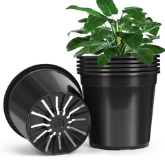 DUNPUTE front view of six 3-gallon nursery pots showing size and uniformity benefits