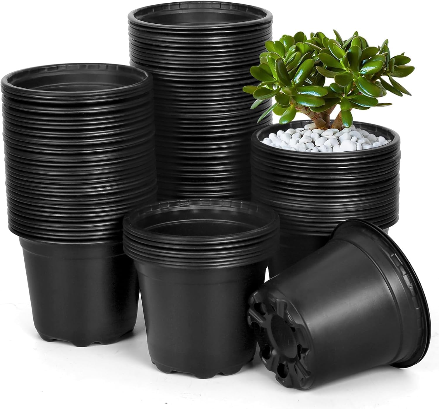 DUNPUTE front view of 120-pack 6-inch pots showing quantity and packaging benefit