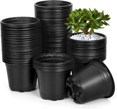 DUNPUTE front view of 120-pack 6-inch pots showing quantity and packaging benefit