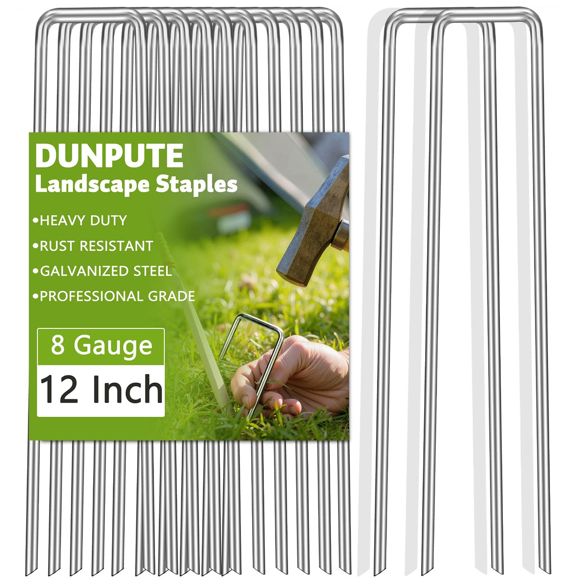 DUNPUTE front pack of 100 galvanized staples showing quantity and size benefit