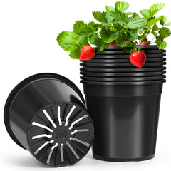 DUNPUTE front view 10-pack showing uniform pots and organized storage benefit
