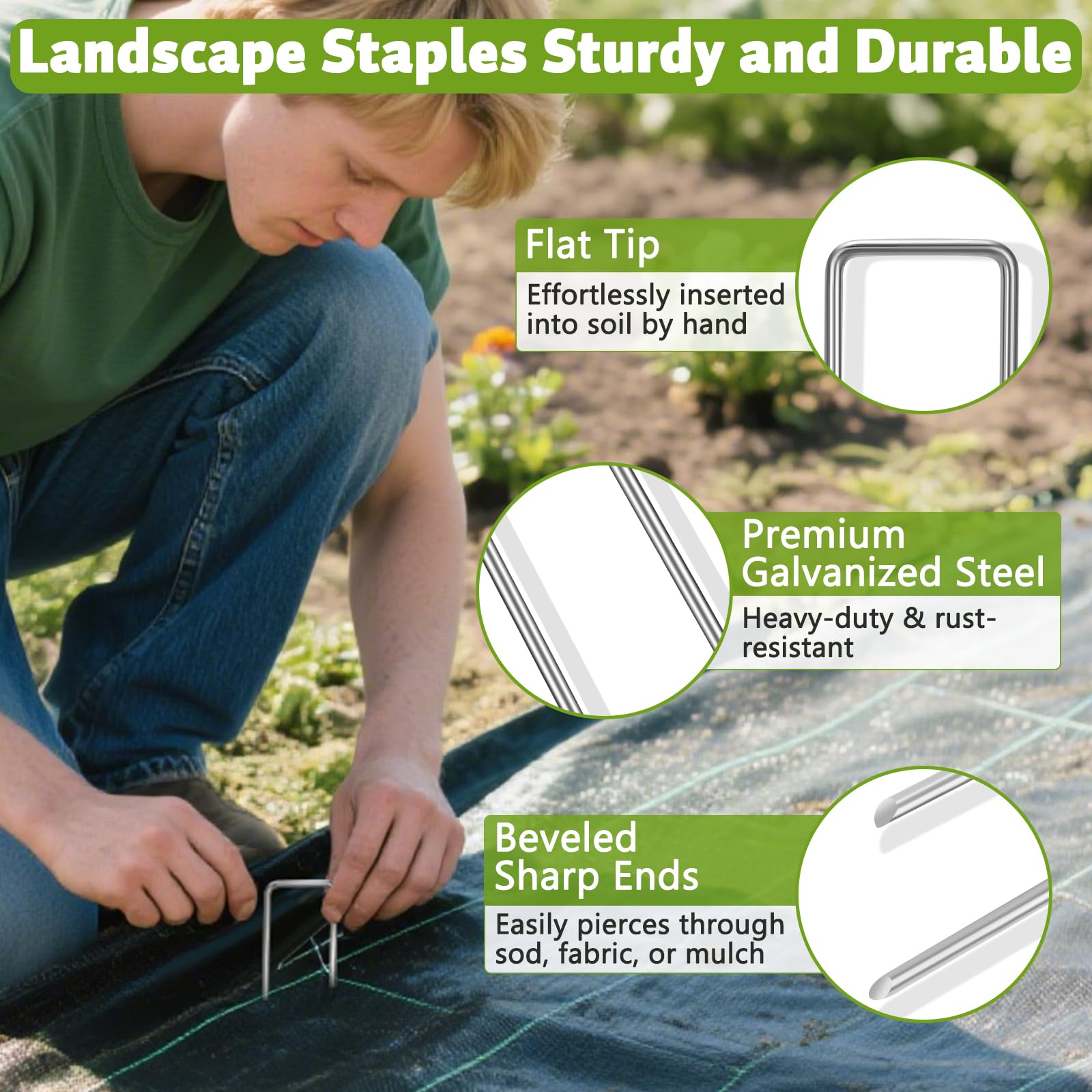DUNPUTE stake next to ruler showing 12-inch length for deeper hold benefit