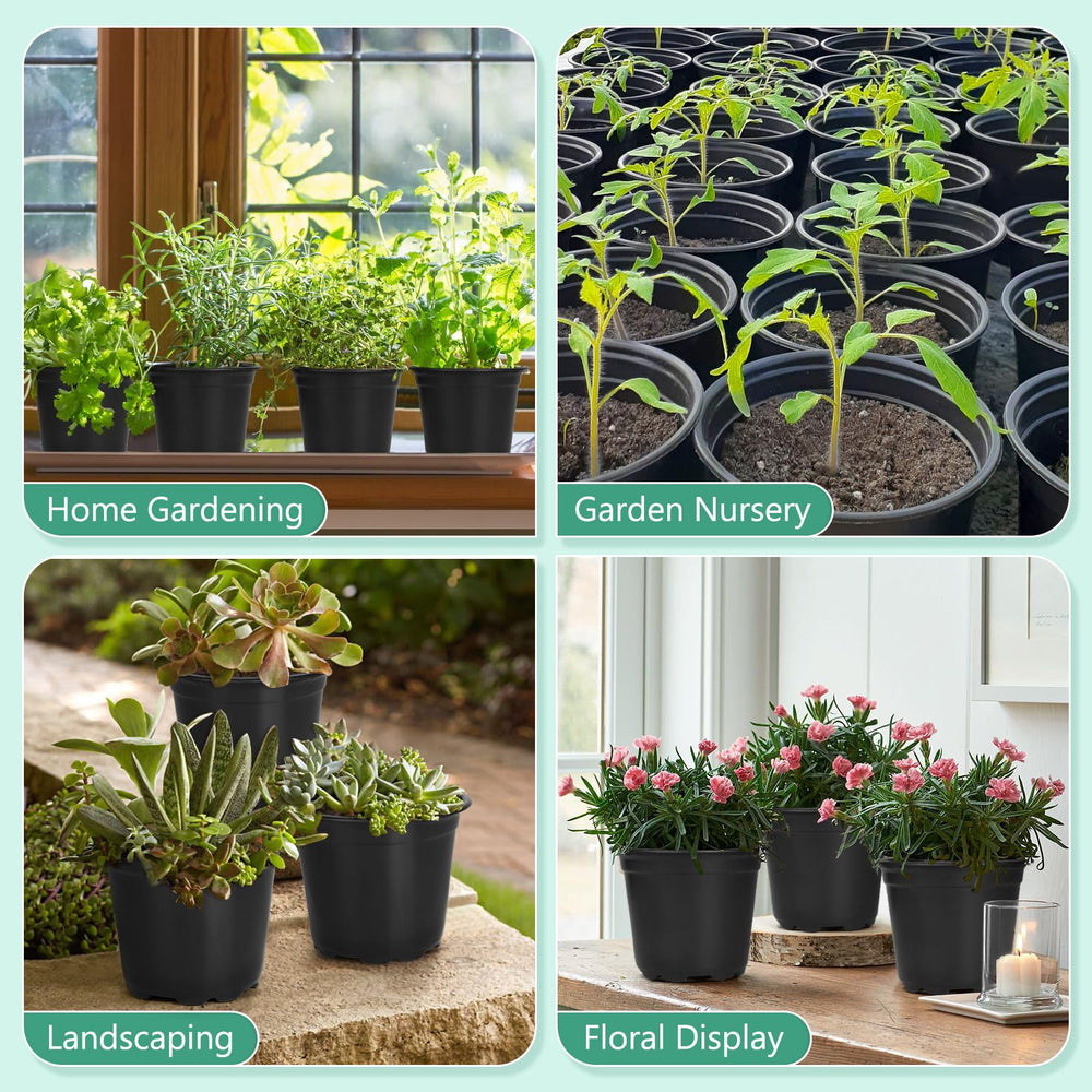 DUNPUTE pots arranged in greenhouse rows enabling efficient nursery workflow