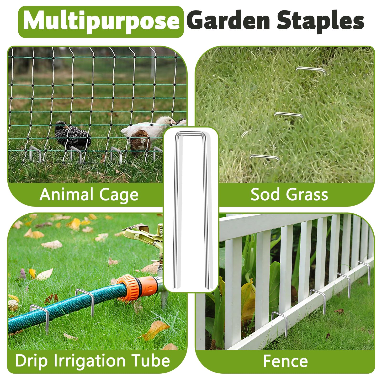 DUNPUTE staple holding drip irrigation tubing in place for leak-free layout benefit