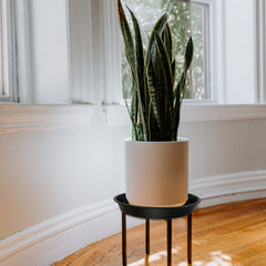 DUNPUTE side profile highlighting deep basin that prevents water spills