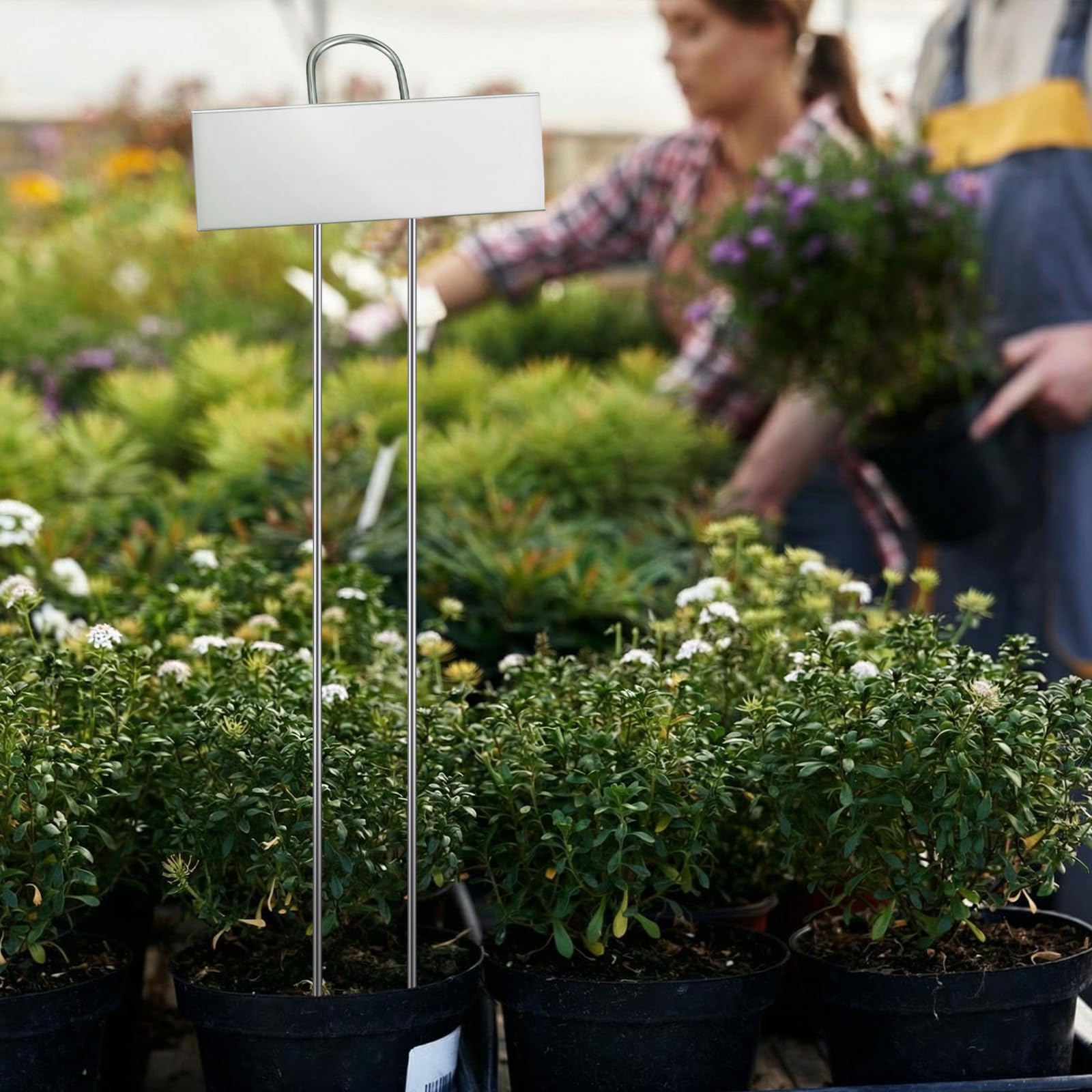 Duraaamo gardener holding a stake in greenhouse showing reusable durable labeling benefit