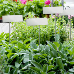 Duraaamo stakes beside ruler showing 21 inch height for easy visibility benefit