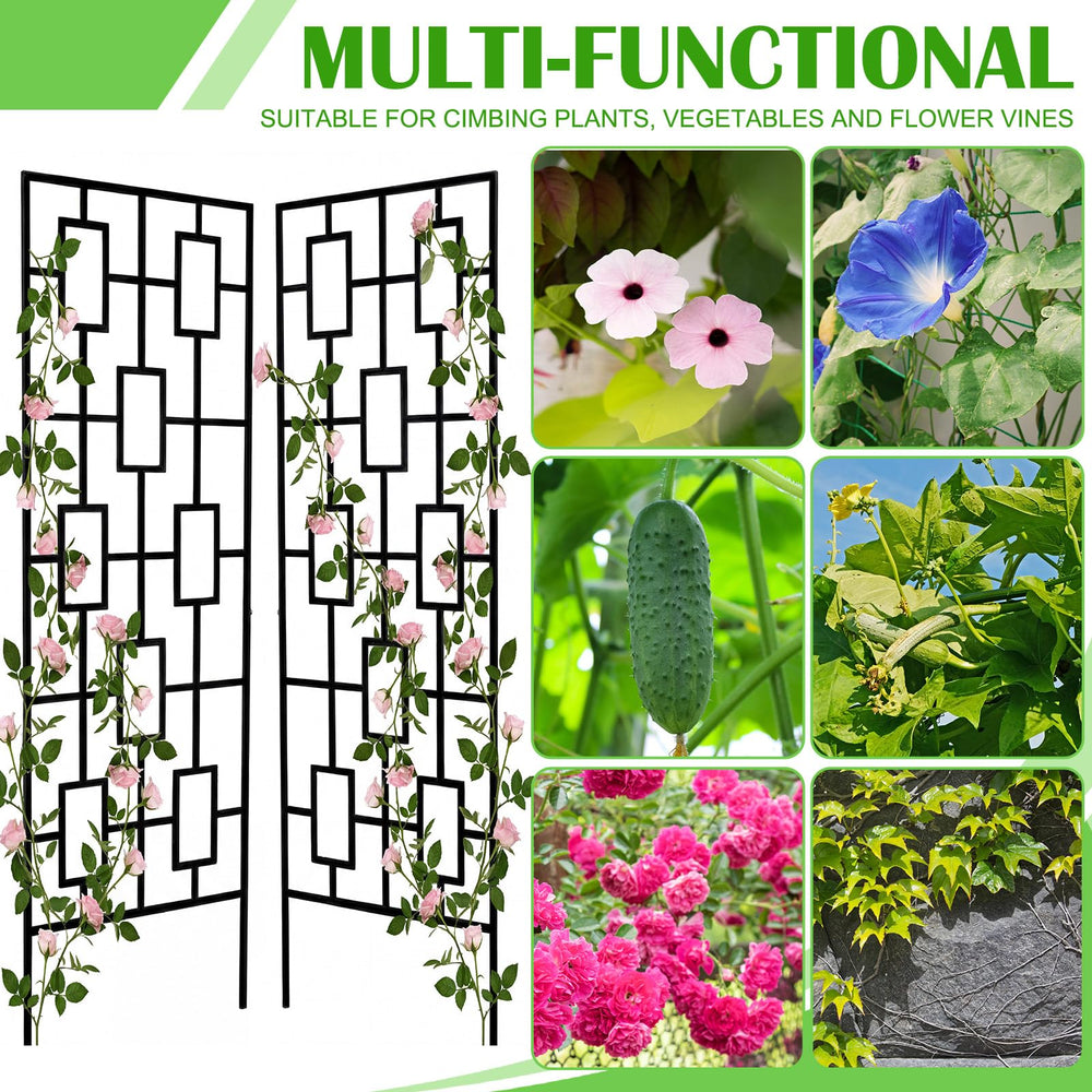 Duraaamo trellis with climbing roses illustrating strong support and floral display