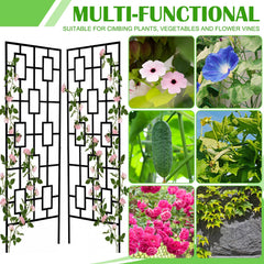 Duraaamo trellis with climbing roses illustrating strong support and floral display