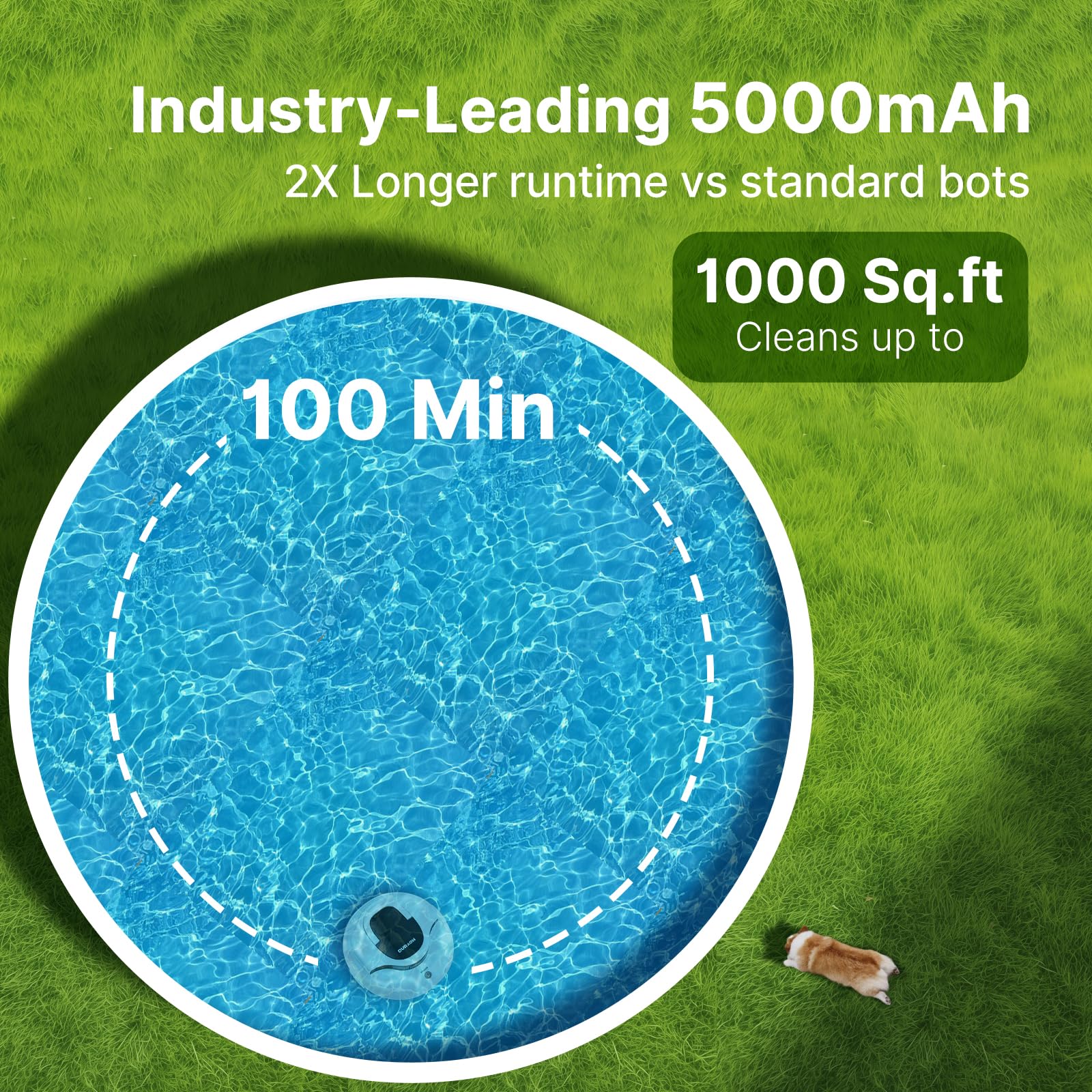 Duraon in a backyard pool lifestyle scene demonstrating cordless freedom and tidy water