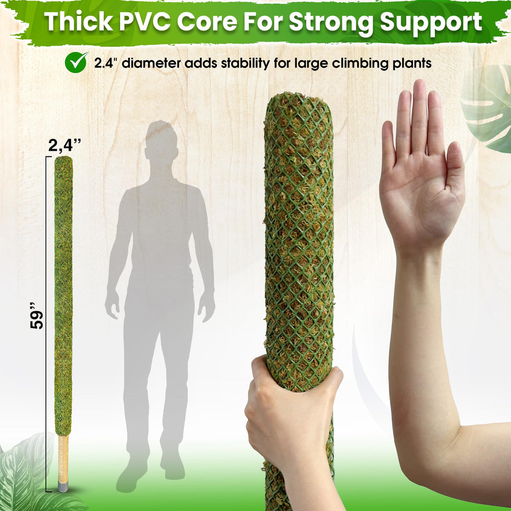 DUSPRO close-up of forest moss texture on pole, natural grip encourages aerial root attachment