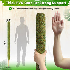 DUSPRO close-up of forest moss texture on pole, natural grip encourages aerial root attachment
