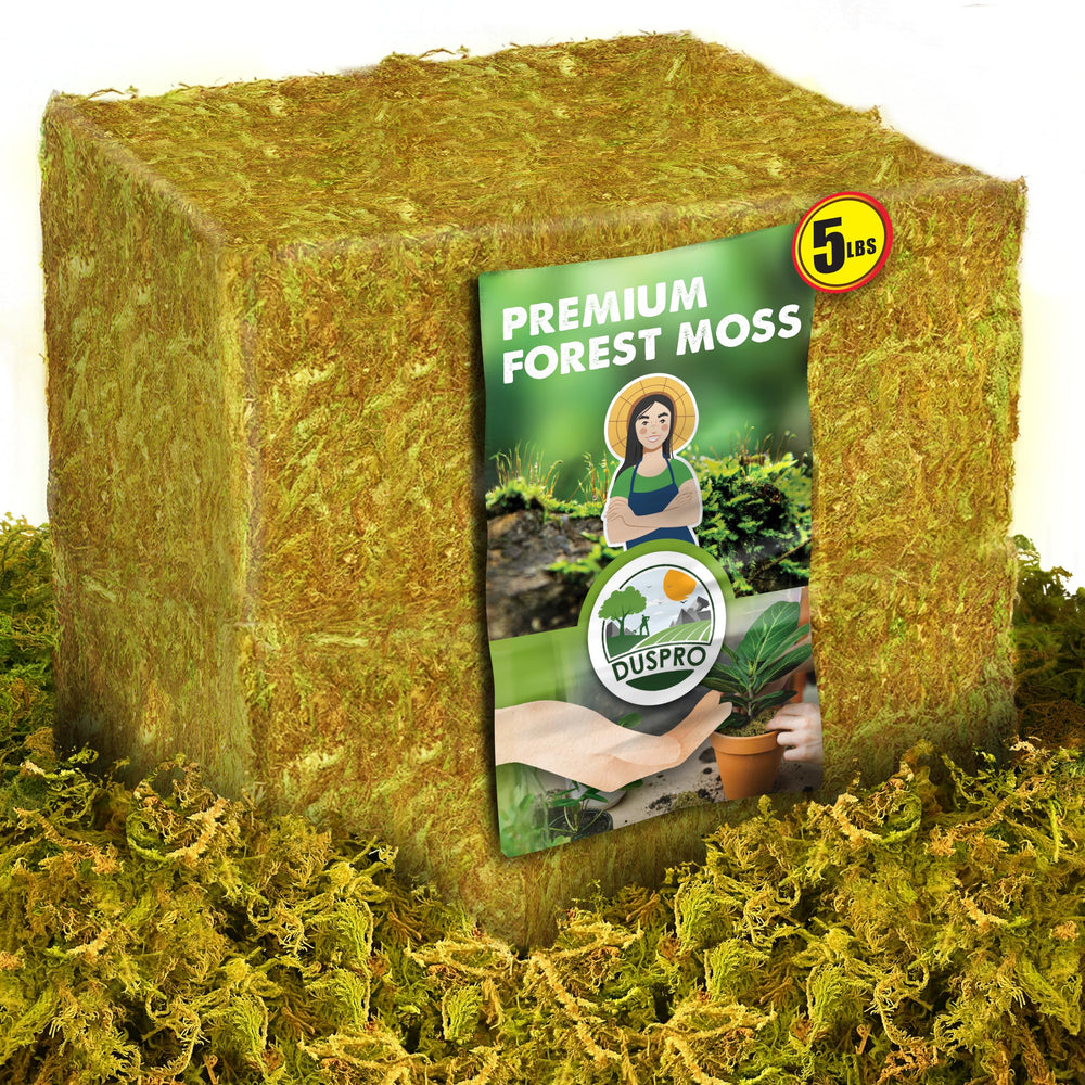 Duspro front bag of dried forest moss showing package and quantity benefit