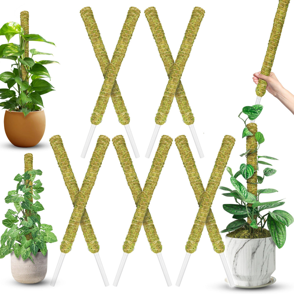 Duspro 22-inch moss pole 10-pack front view showing tidy stack and green moss benefit: natural support