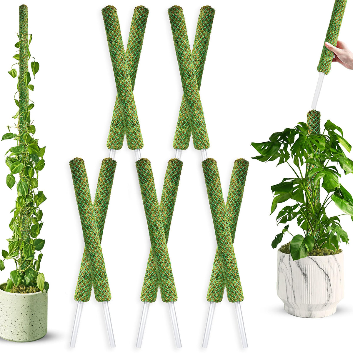 Duspro front view pack showing ten green moss poles and jute twine, tidy support