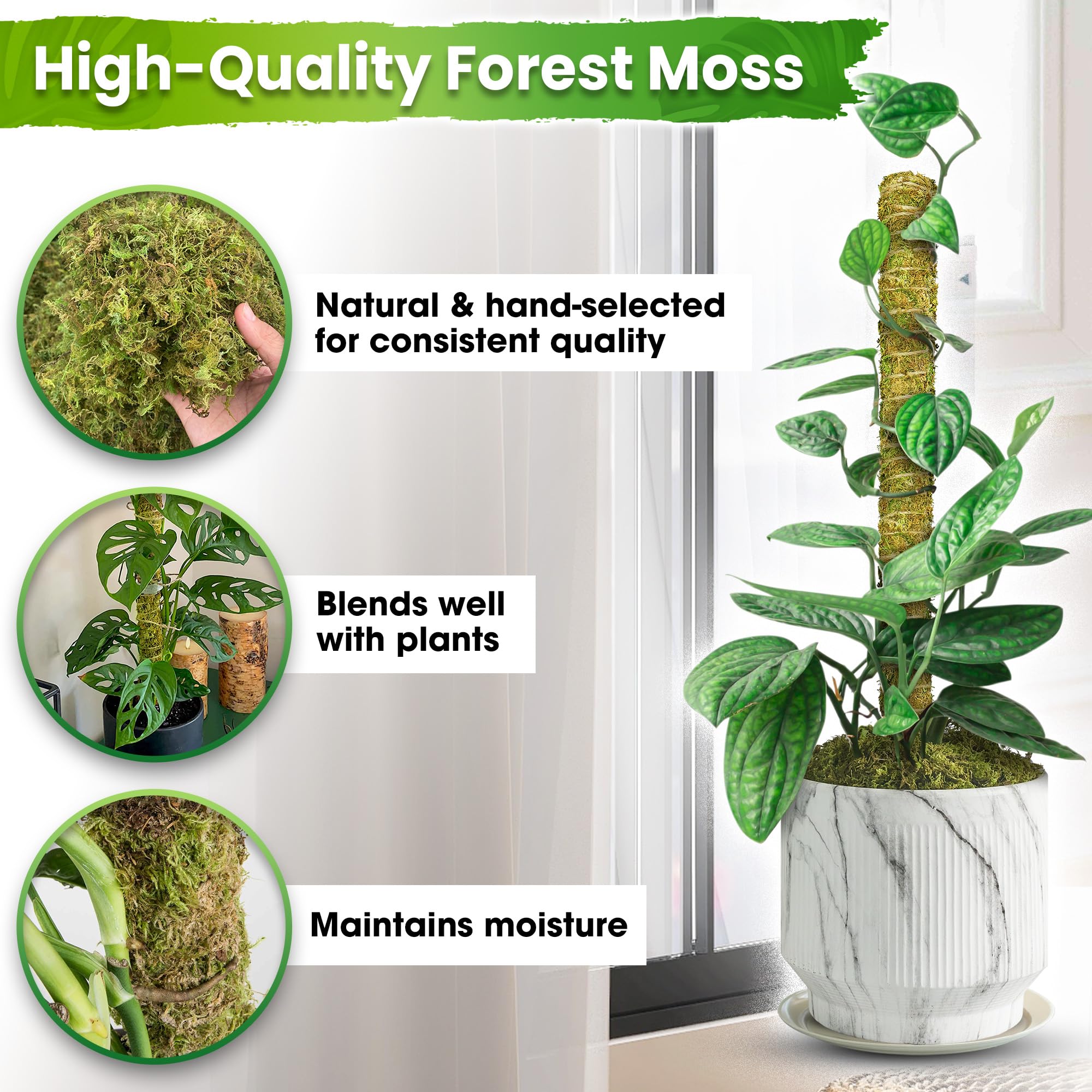 Duspro stacked poles beside ruler showing extendable height for larger climbing plants benefit
