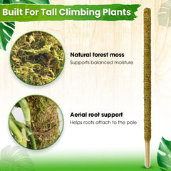 Duspro pole beside tape measure showing full 59 inch height