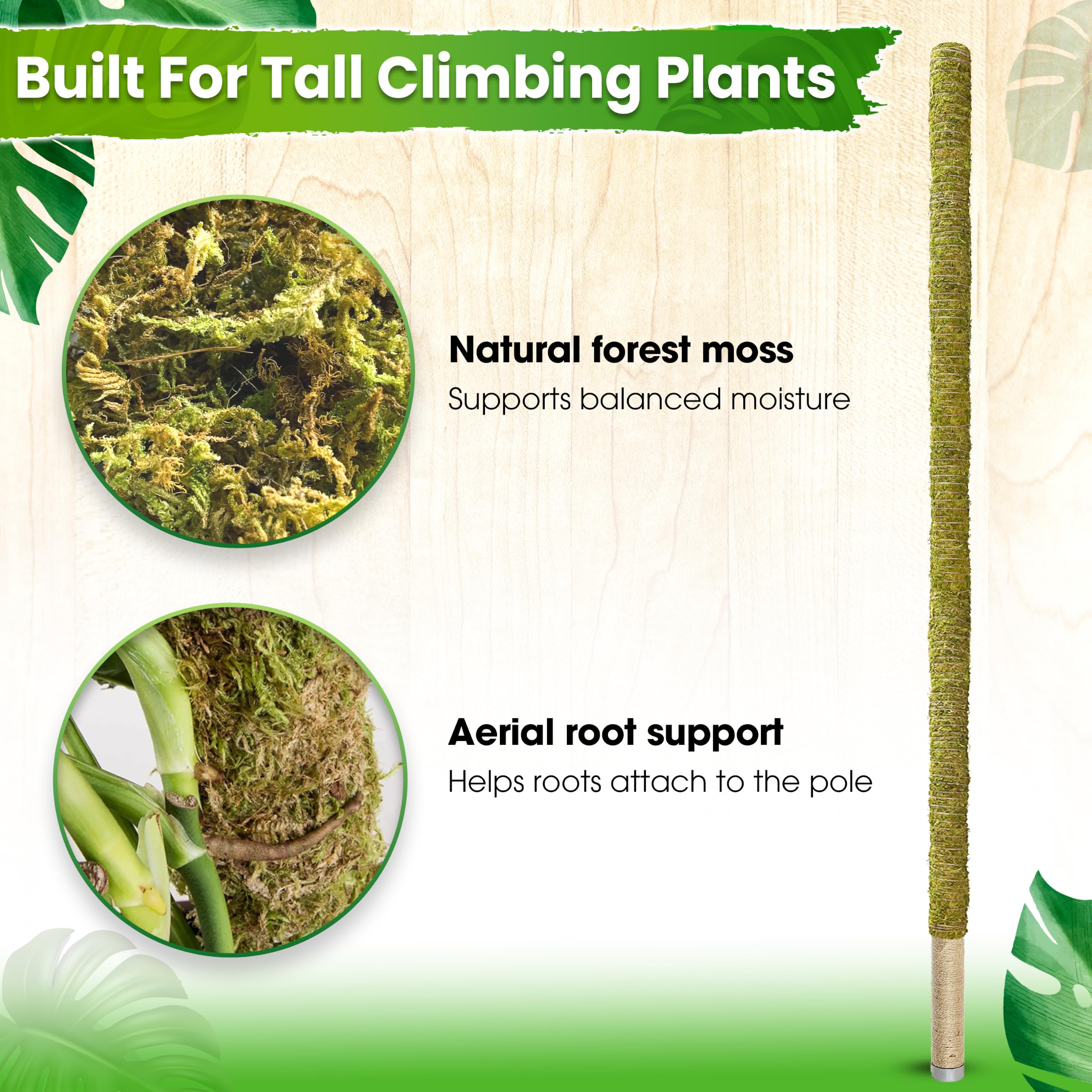 DUSPRO pole inserted in pot showing recommended soil depth for stability