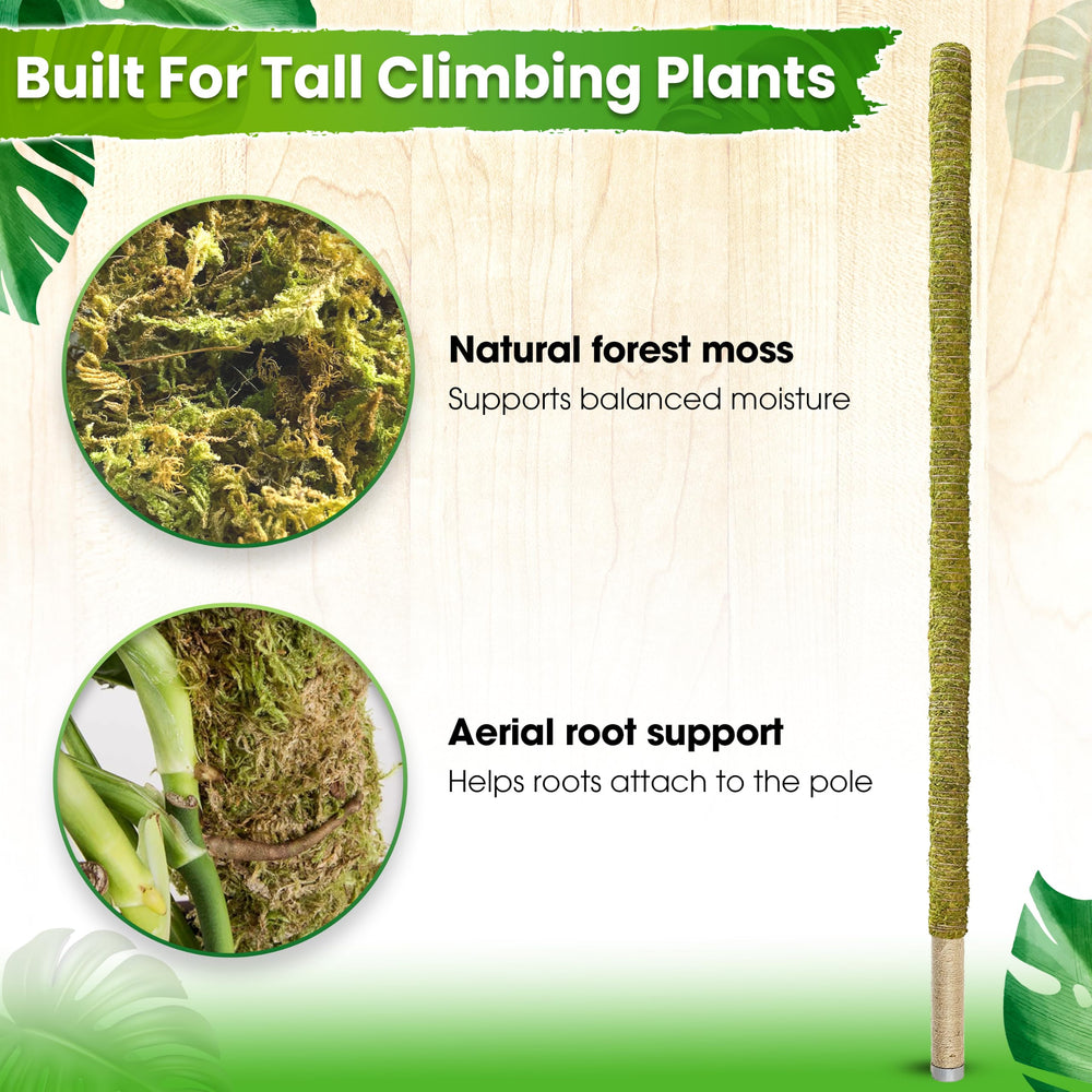 DUSPRO pole inserted in pot showing recommended soil depth for stability