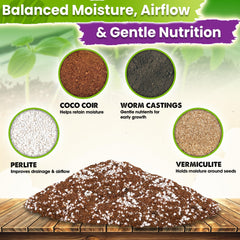 Duspro mix in seed tray supporting healthy early root development