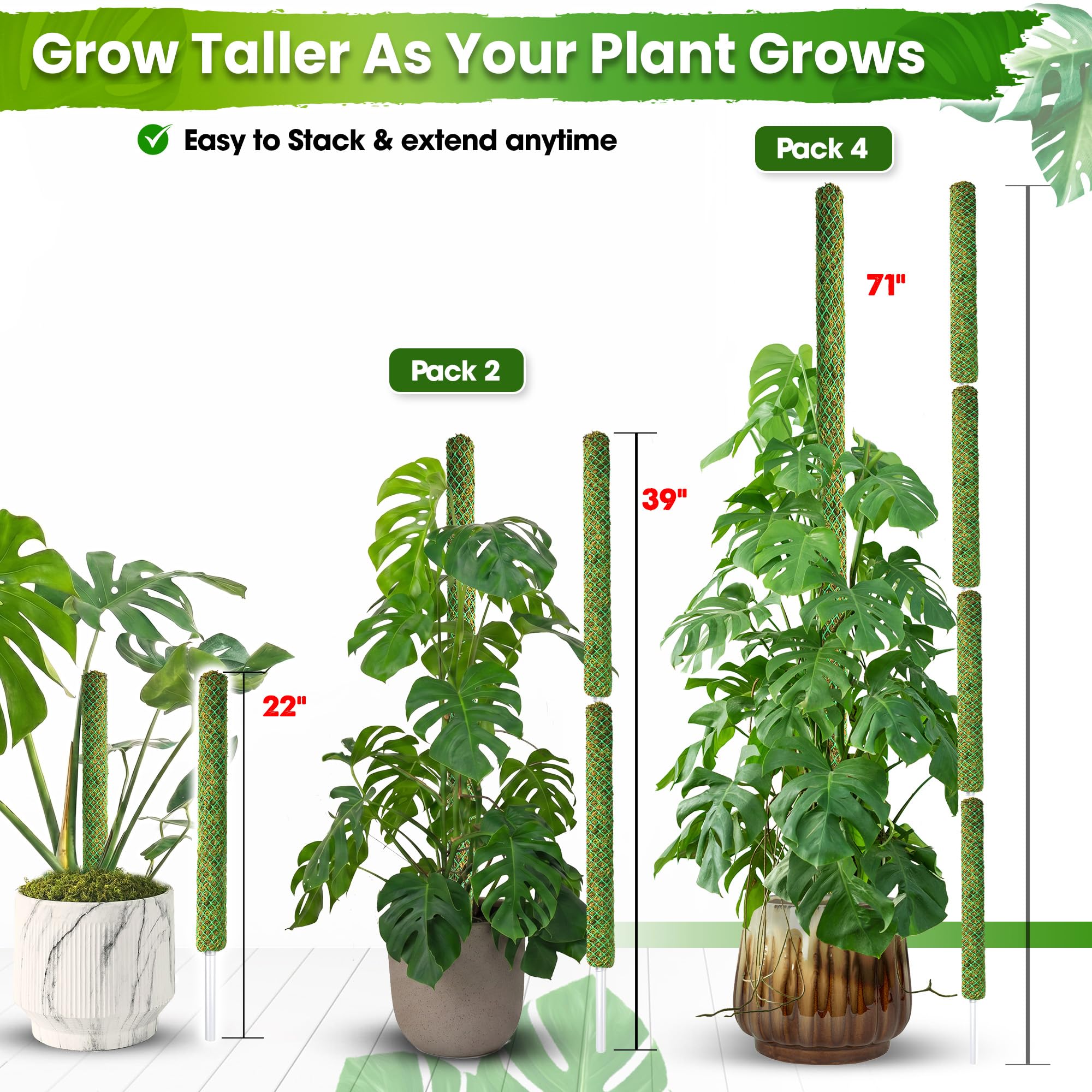Duspro pole supporting a Monstera plant, encouraging upright, space-saving growth