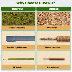DUSPRO moss pole in use with Monstera, stabilizes large leaves and encourages vertical growth