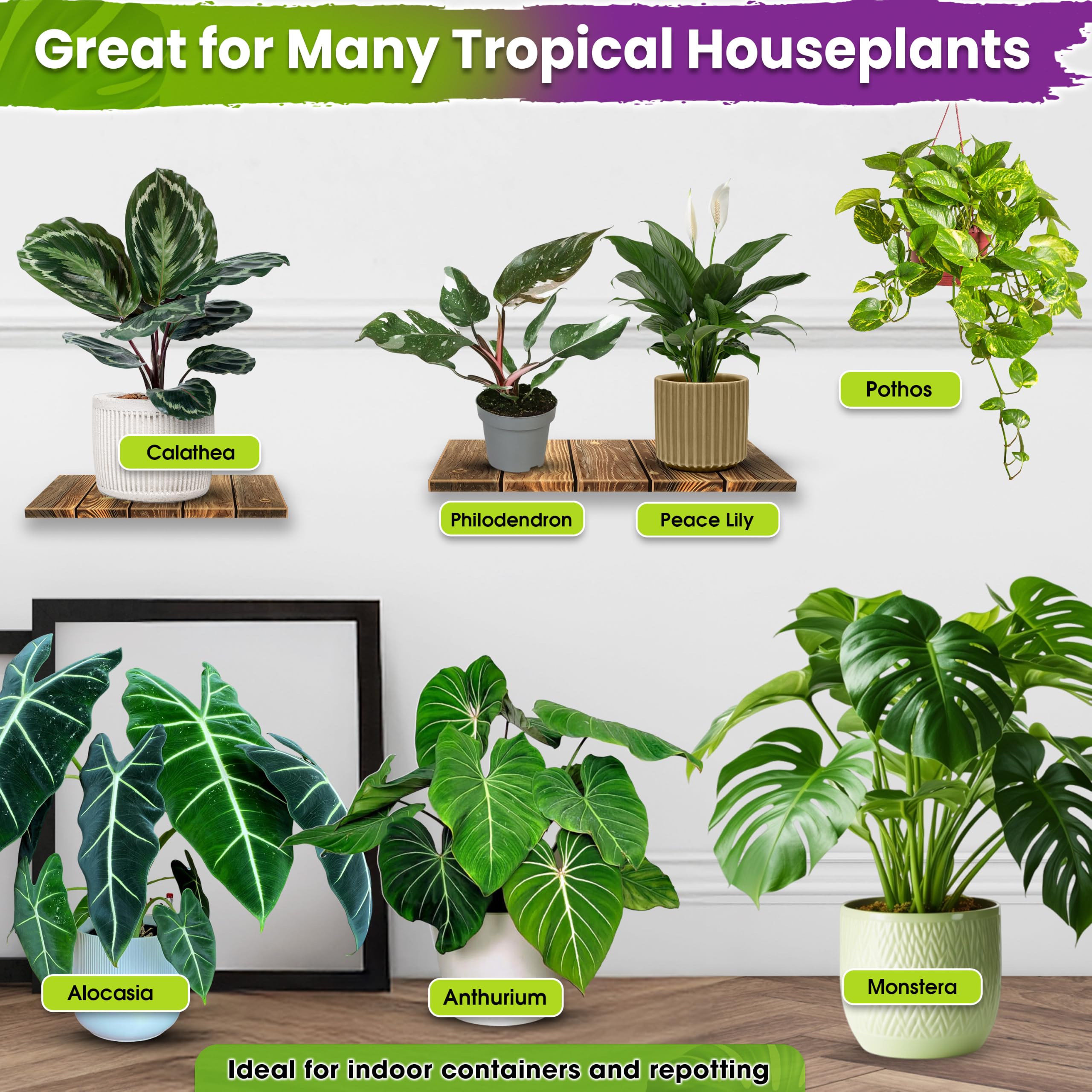 DUSPRO lifestyle shelf with tropical houseplants showing healthy display benefit