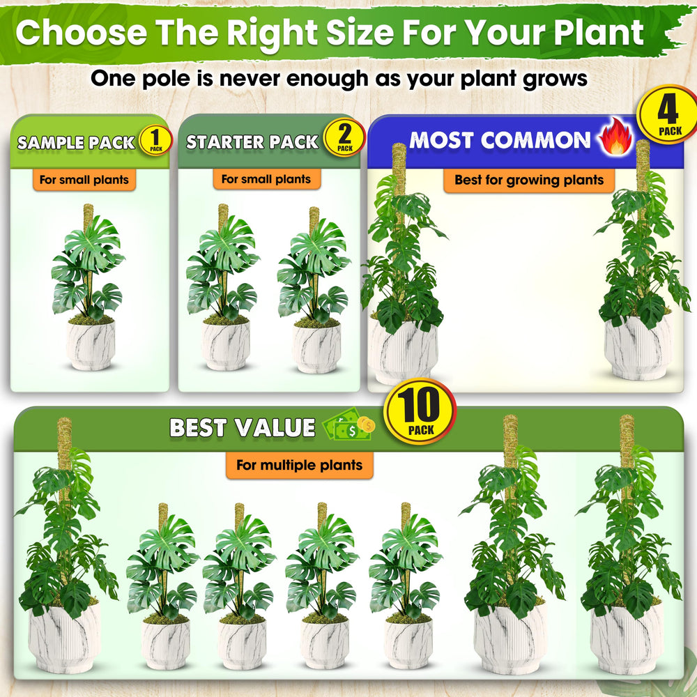 Duspro lifestyle shelf display with multiple potted climbers showing cohesive indoor décor benefit