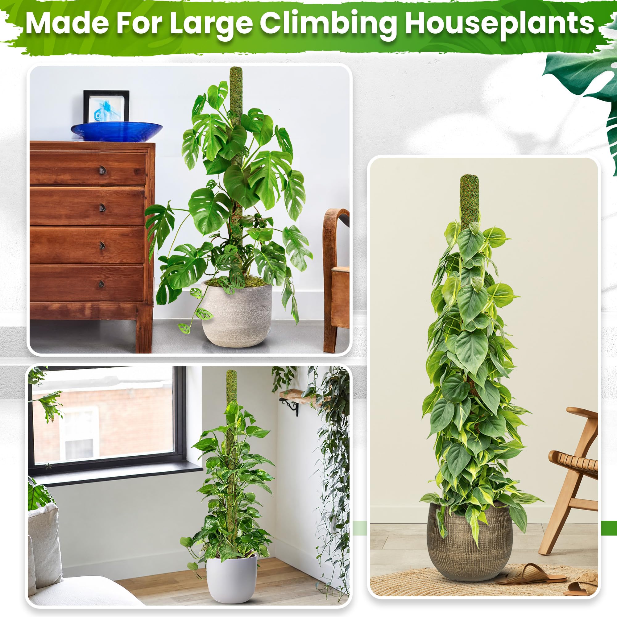 DUSPRO lifestyle shot on shelf with climbing plant, blends with decor and hides support