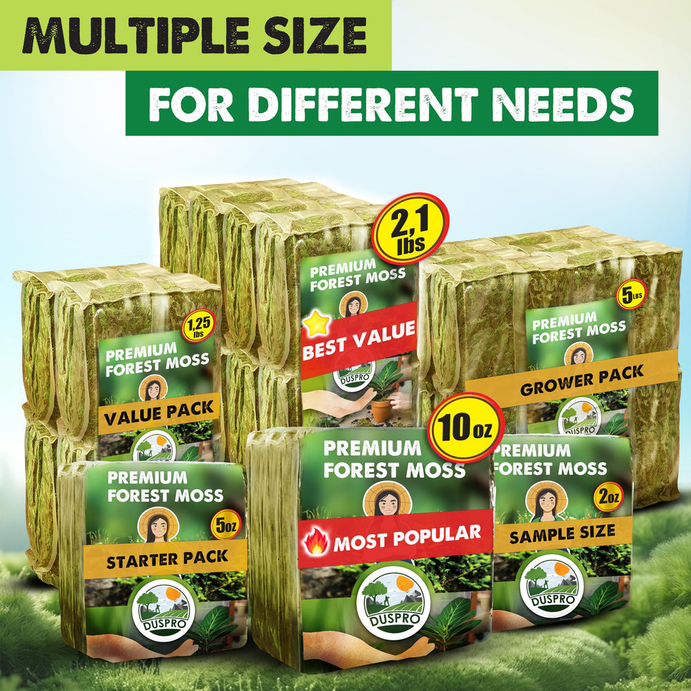 Duspro moss next to ruler for scale showing coverage and quantity benefit