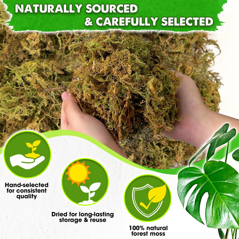 Duspro close-up of long moss fibers highlighting natural texture and absorbency