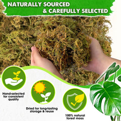 Duspro close-up of long moss fibers highlighting natural texture and absorbency