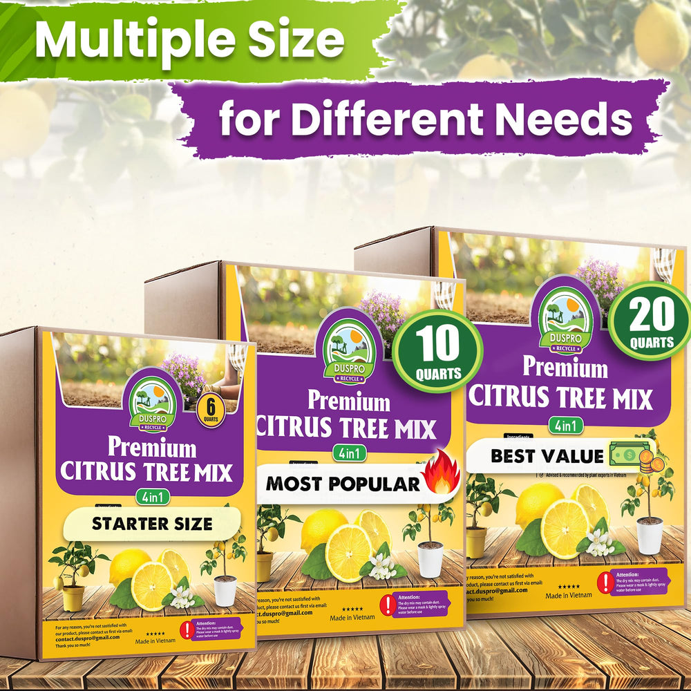 Duspro outdoor container lifestyle with citrus thriving on patio