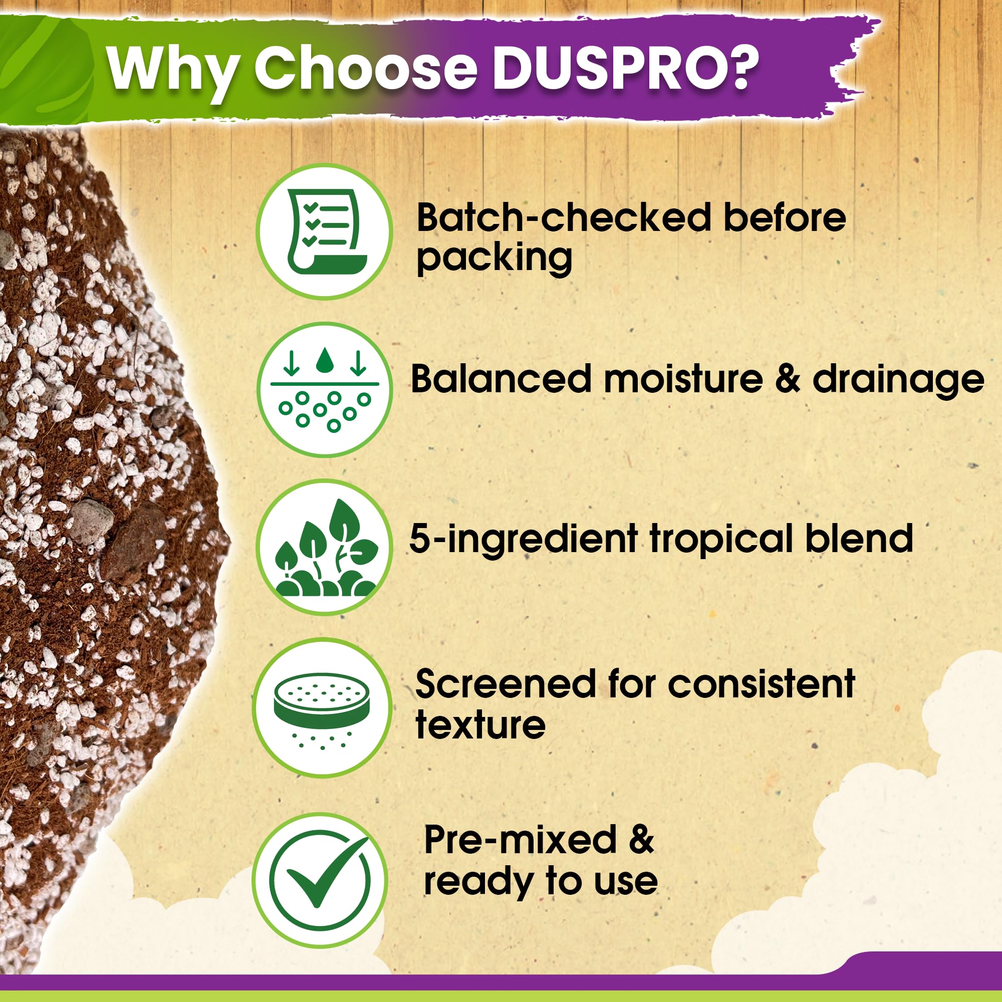 DUSPRO mix in use repotting Monstera showing easier transplanting benefit
