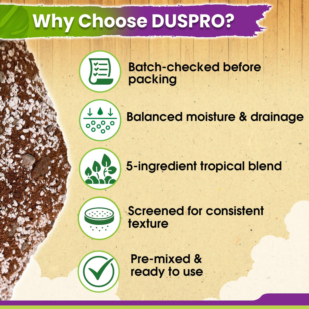 DUSPRO mix in use repotting Monstera showing easier transplanting benefit