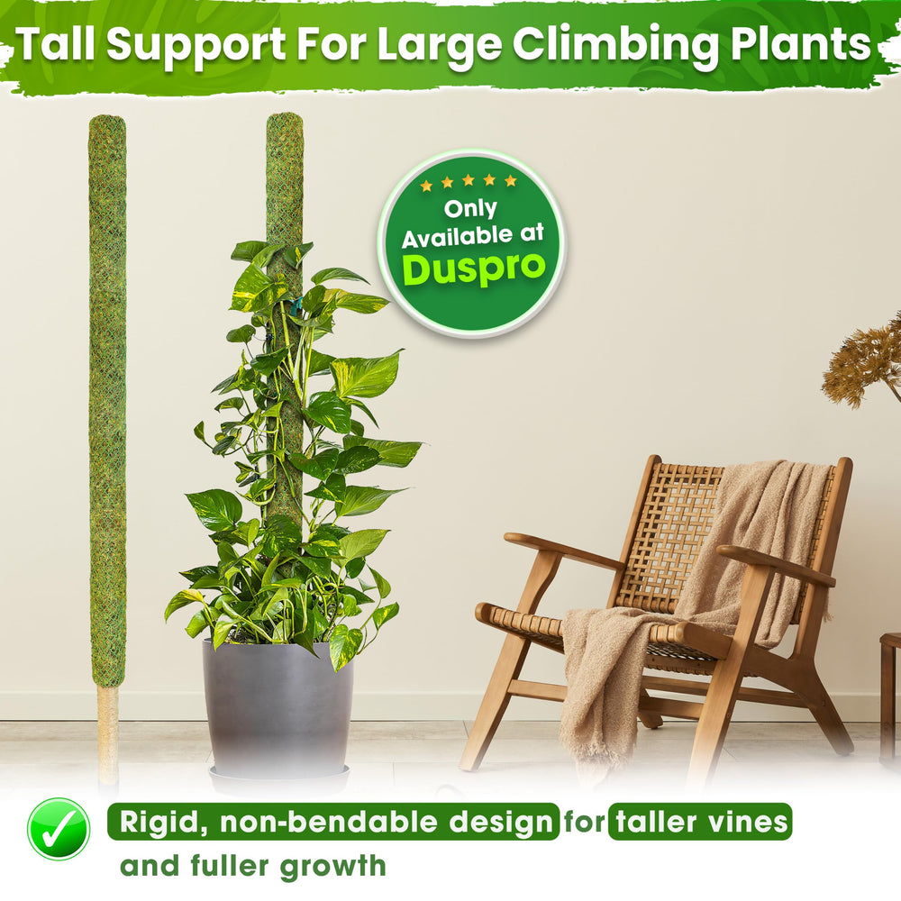 DUSPRO size comparison beside 14" pot, demonstrates recommended pot scale for stability