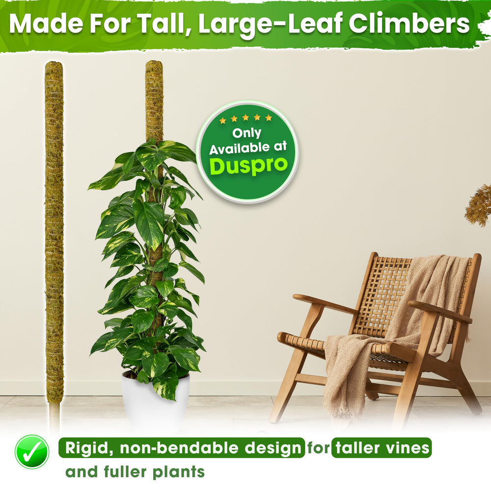 Duspro top view showing 2.5 inch diameter for larger stems