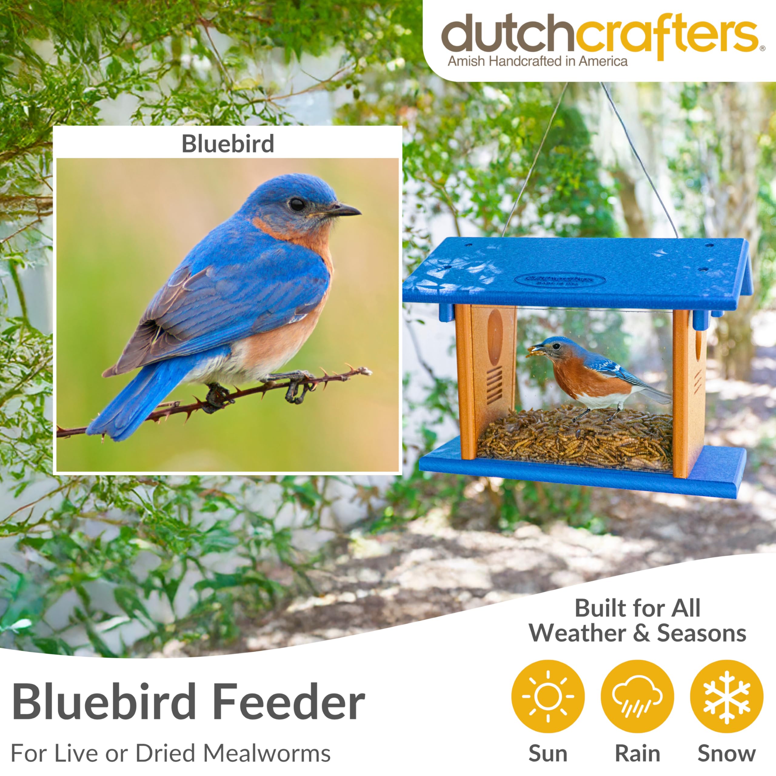 DutchCrafters 1.5 inch entrance hole sized for bluebirds access